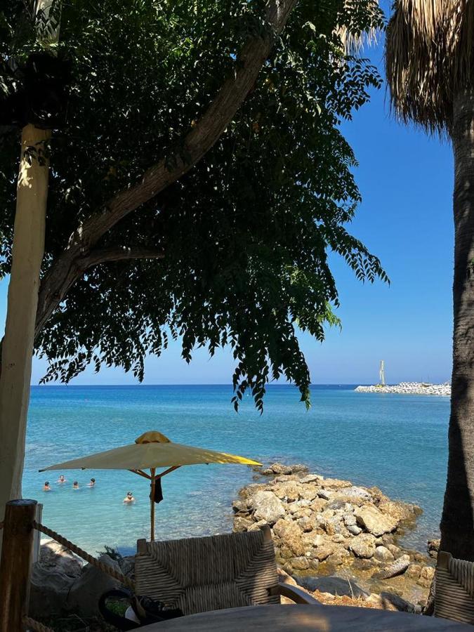 Appartamento Viking Family Superior Lux Ayia Napa Esterno foto